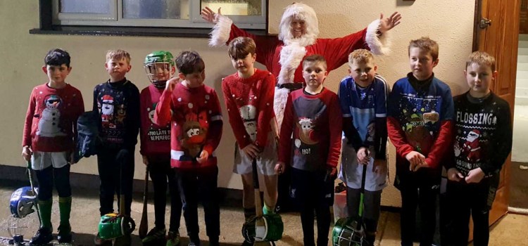 U9 hurlers end the year with a visitor